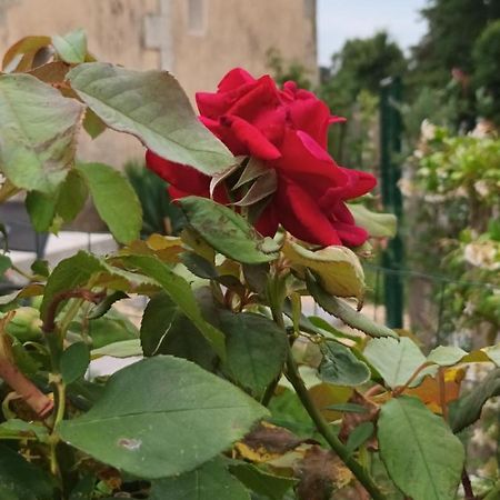 Gite Aux Vieux Bois Lunas  外观 照片